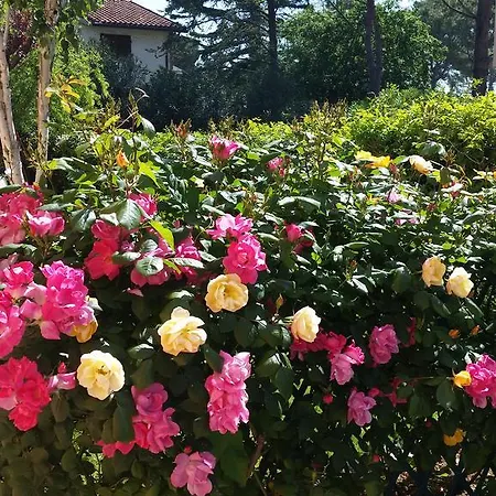 A Due Passi Dal Mare نومانا