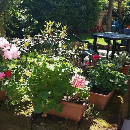 فندق مبيت وإفطار A Due Passi Dal Mare 3*