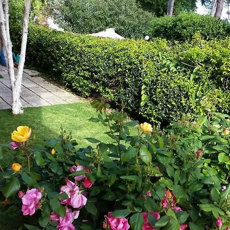 A Due Passi Dal Mare نومانا