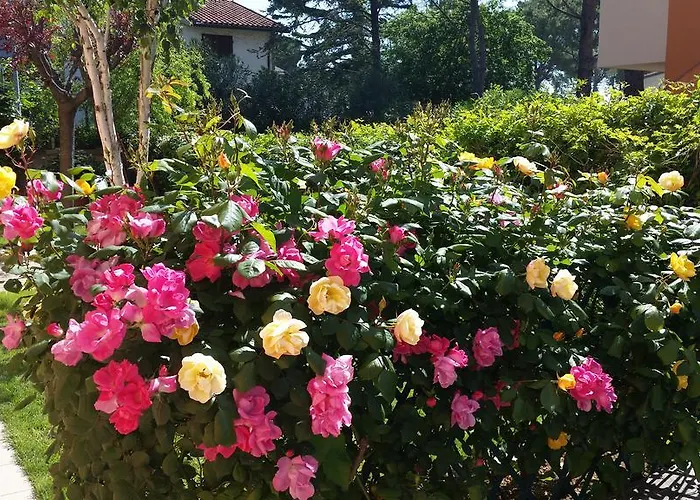 A Due Passi Dal Mare Numana