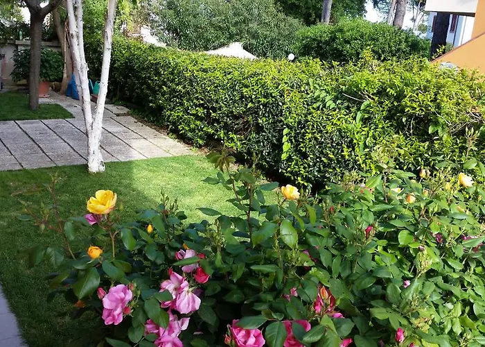 A Due Passi Dal Mare Numana