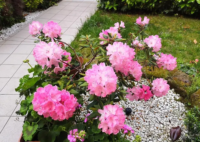 A Due Passi Dal Mare Bed & Breakfast Numana