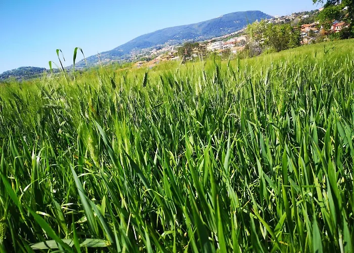 Bed & Breakfast A Due Passi Dal Mare 3*