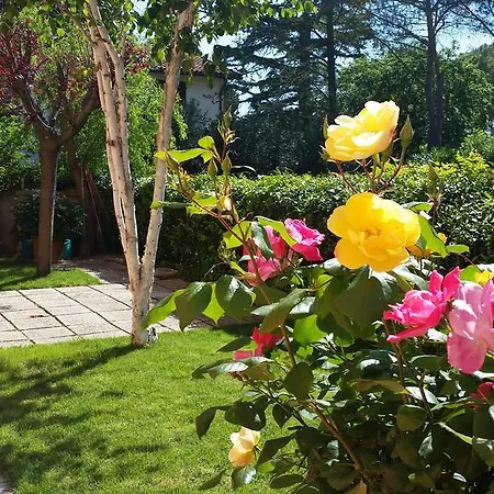 Bed & Breakfast A Due Passi Dal Mare Numana